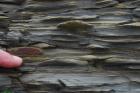 Namurian aged Tullig Formation silts and mud interbedded with some sands. Climbing ripples in rythmic silts and mud interbeds. Depositional setting interpreted to be a delta front with the climbing ripple facies formed within wave base (Andy Pulham personal comunication & Martinsen et al., 2008).